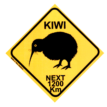Neuseeländischer Kiwi